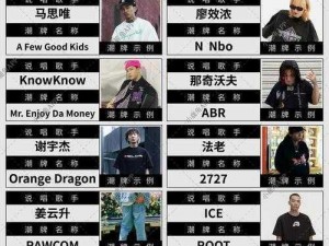 日本 RAPPER 潮水 RAPPER 万家乐，智能新升级，让你畅享舒适沐浴体验