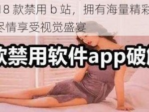 夜里 18 款禁用 b 站，拥有海量精彩内容，让你尽情享受视觉盛宴