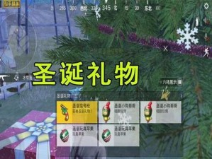 关于和平精英圣诞小鸡获取攻略：圣诞小鸡如何轻松获取？的实用指南