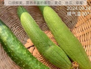 新鲜采摘，口感鲜美，营养丰富的番茄、黄瓜、丝瓜、草莓、秋葵大全