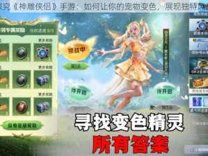 探究《神雕侠侣》手游：如何让你的宠物变色，展现独特风采