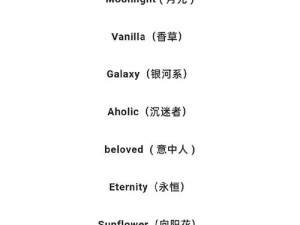 欧美私人情侣网名大全英文——最浪漫的情侣网名，尽在这里