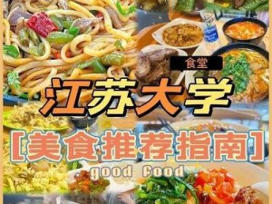 银翼计划心情提升策略与美食指南：探索情感价值，共赴味蕾之旅，激发积极情绪之路