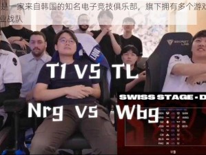 NRG 是一家来自韩国的知名电子竞技俱乐部，旗下拥有多个游戏项目的职业战队