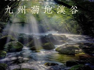 剑二十七西毒所在地探秘：揭秘其神秘栖息之所