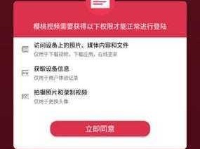 樱桃下载，一键获取你所需的各种资源