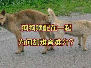 人狗锁在一起的原理是什么;人狗锁在一起的原理是什么？