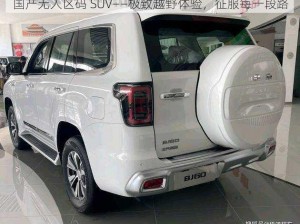 国产无人区码 SUV——极致越野体验，征服每一段路