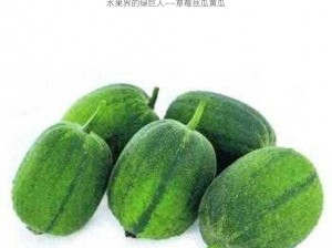 水果界的绿巨人——草莓丝瓜黄瓜