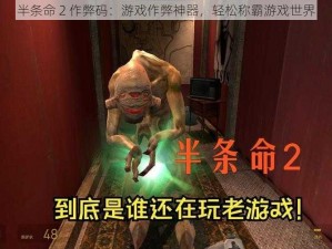 半条命 2 作弊码：游戏作弊神器，轻松称霸游戏世界