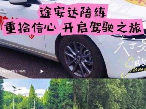 LT双鱼驾驶员星辉闪耀之名：揭秘神秘驾驶之旅的领航者名字揭晓时刻