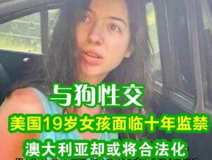 为什么在百度上找不到欧美人与动牲交大全免费的资源？如何才能找到欧美人与动牲交大全免费的资源？