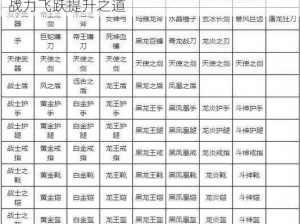 全民奇迹翎羽战士升级攻略：掌握进阶技巧，战力飞跃提升之道