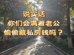 解锁新婚宝藏第13关攻略：探寻妻子私房钱藏的隐秘之处