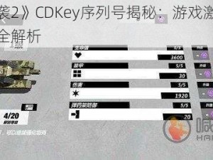 《武装突袭2》CDKey序列号揭秘：游戏激活密钥及获取方法全解析