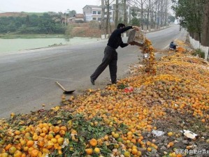 大婶的肥沃的土地，孕育出的优质农产品