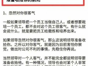 我被公司领导 C 了很多次，用了这款产品后，终于可以正常上班了