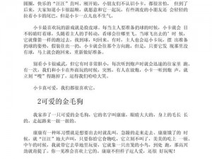 和金毛干了四年都没事作文，它真的可以解决你的不时之需