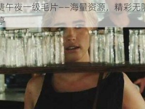 全免费午夜一级毛片——海量资源，精彩无限，畅享不停