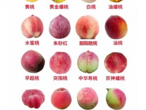 水蜜桃精品一二三：为何如此受欢迎？怎样挑选和食用？