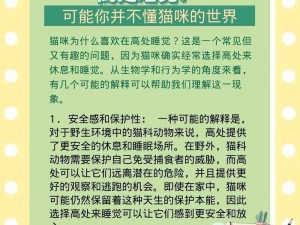 猫咪直播：为什么猫咪直播如此受欢迎？如何在猫咪直播中获得更多关注？怎样在猫咪直播中与观众互动？