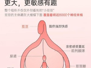 最新成人玩具当着别人面玩弄人妻，你值得拥有