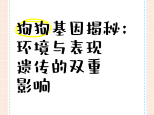 狗狗与人类 DNA 有何异同？影响狗狗行为和健康的因素是什么？