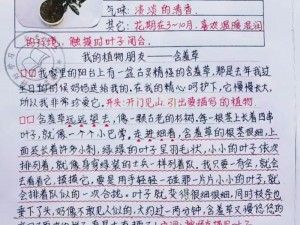 含羞草卡 1 卡 2 卡三卡 2021 精品为什么如此受欢迎？