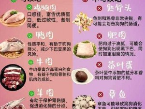 伊洛纳增加肉类摄入量的实用方法指南：提升肉食享受技巧介绍