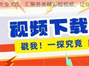 成品人短视频大全 IOS，汇聚各类精彩短视频，让你轻松畅享视觉盛宴