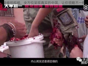 国产精品大陆偷拍视频，全方位呈现真实的中国，让你领略不一样的风土人情