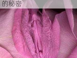 女生到达巅峰时的表现知乎：让你了解女性性体验的秘密