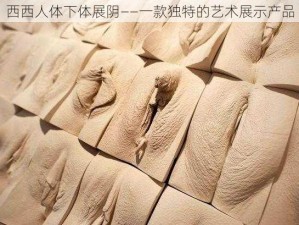 西西人体下体展阴——一款独特的艺术展示产品