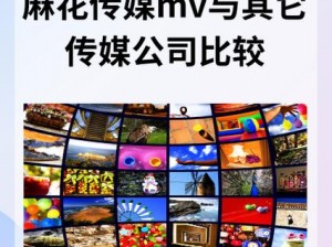 麻花传媒 mv 一二三：为什么它们如此受欢迎？如何制作？有哪些类型？