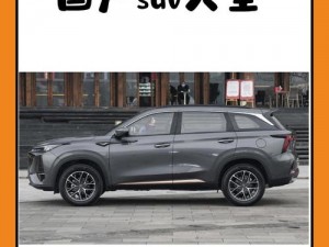 国产又美又漂亮的 SUV，空间宽敞动力强，性价比超高值得入手