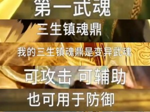 《斗罗秘境：唐门荣誉的隐秘守护》