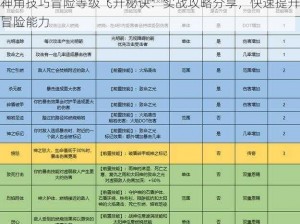 神角技巧冒险等级飞升秘诀：实战攻略分享，快速提升冒险能力