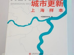 特大城市公路画圆技巧揭秘：探索与完善策略与关键实践历程 —— 特大城市2012年公路规划研究新视角