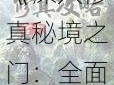 《深入修真秘境之门：全面攻略分享》