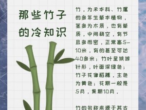 《恋与制作人》竹子有何用？竹子掉落地点及作用全解析