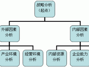 如何选择零号任务阵营：策略与现实因素的综合考量