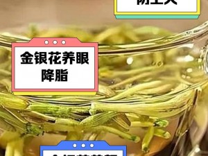 下厨房金银花，清热降火好帮手