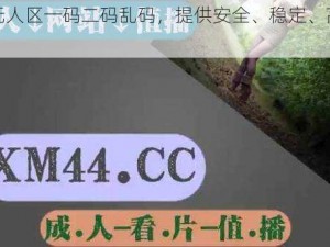 免费无人区一码二码乱码，提供安全、稳定、高效的服务