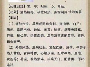 深不可测金银花，清热解毒，呵护你的健康