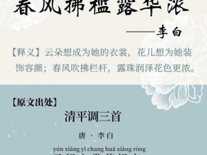 如何在 SEO 中利用雨想衣裳花想容春风拂槛露华浓这句诗？