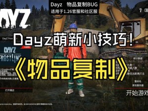 DayZ独立版物品刷新点卡顿全面解析与解决策略