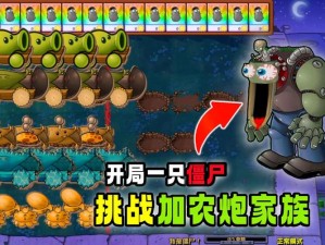 《植物大战僵尸2：加农炮之战全攻略指南》