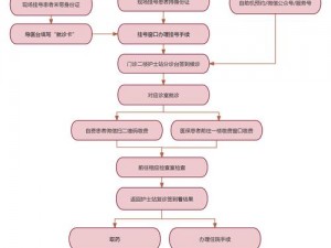 十三号病院卡流程优化小技巧全面解读：提高效率与避免误区的实用指南