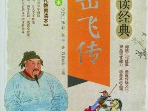 《岳飞全传：武勇智谋全属性传人》