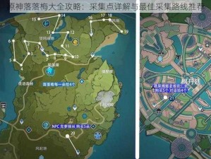 原神落落梅大全攻略：采集点详解与最佳采集路线推荐